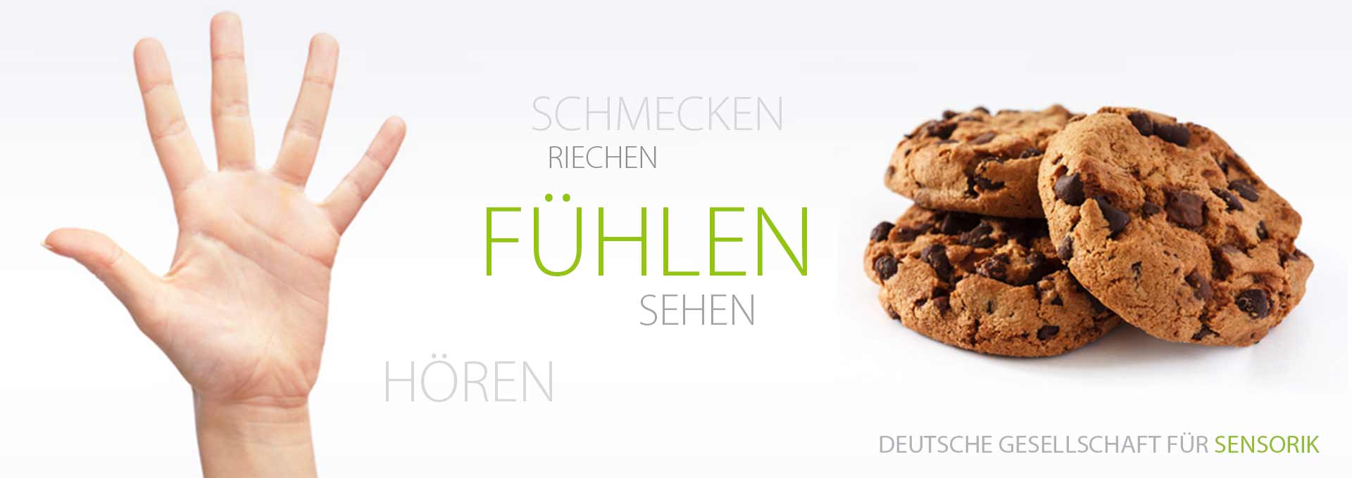 DGSens-Themen-Fuehlen
