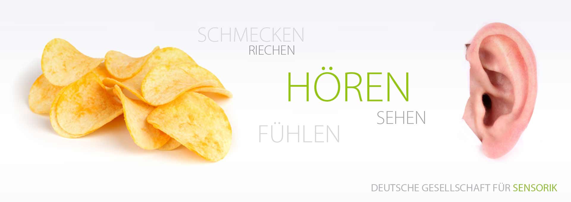DGSens-Themen-Hoeren