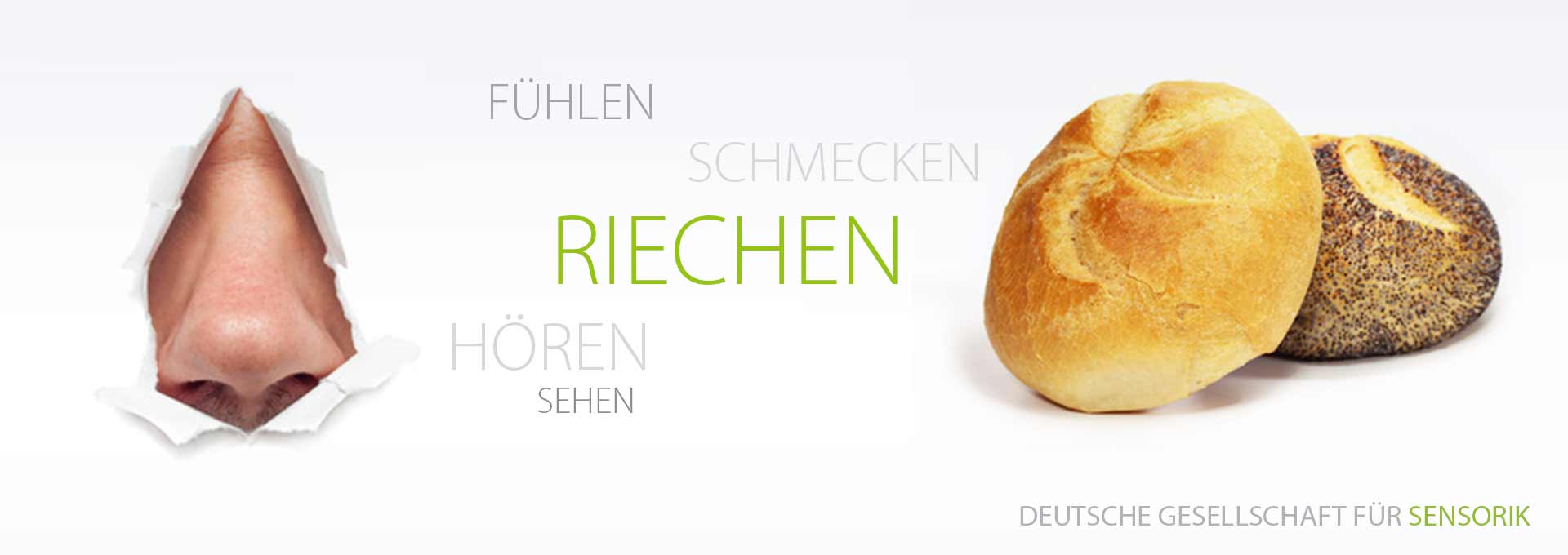 DGSens-Themen-Riechen