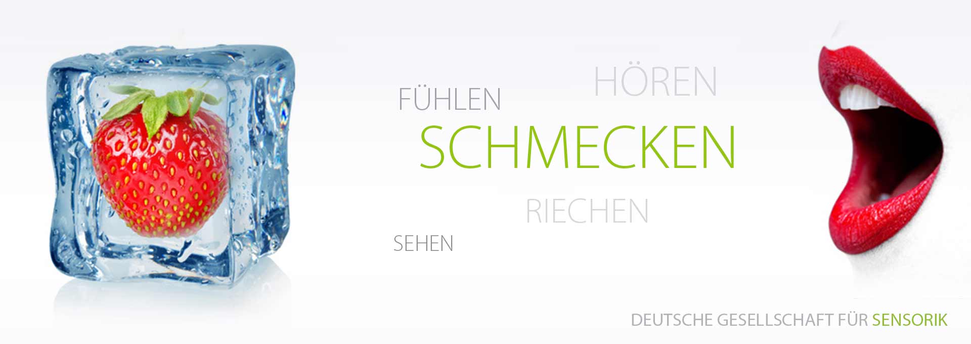 DGSens-Themen-Schmecken