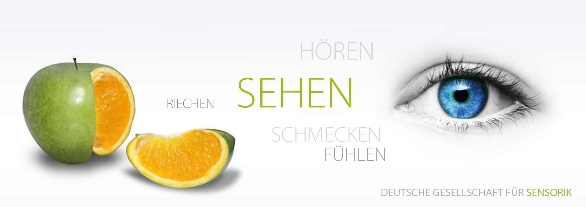 DGSens-Themen-Sehen
