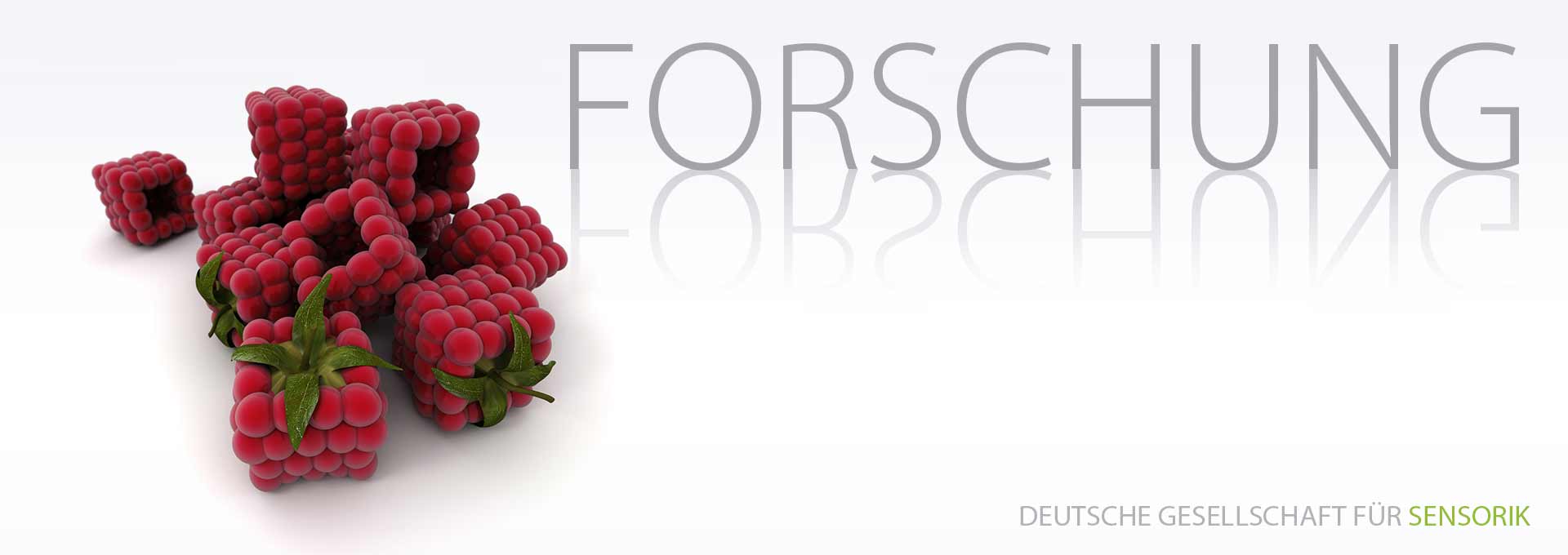 DGSens-Sensorik-Bereich Forschung