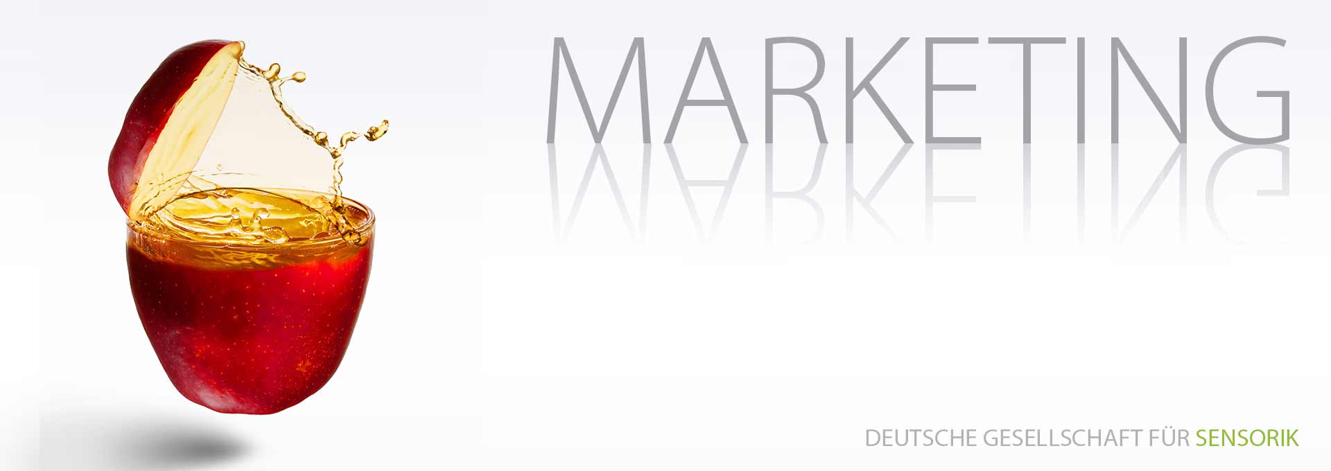 DGSens-Sensorik-Bereich Marketing