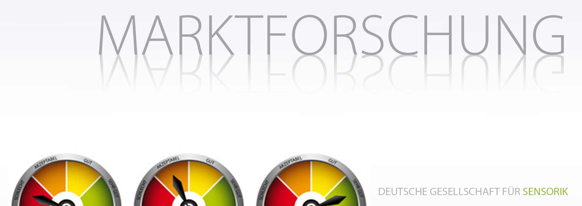 DGSens-Sensorik-Bereich Marktforschung