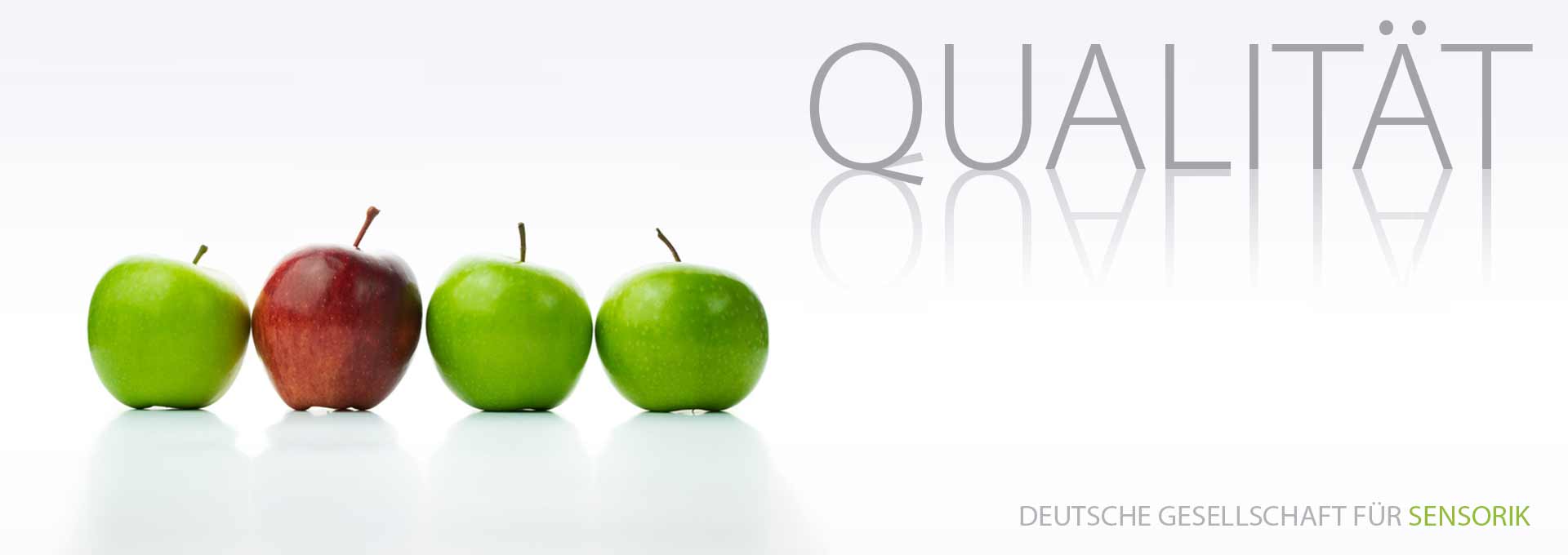 DGSens-Sensorik-Bereich Qualität