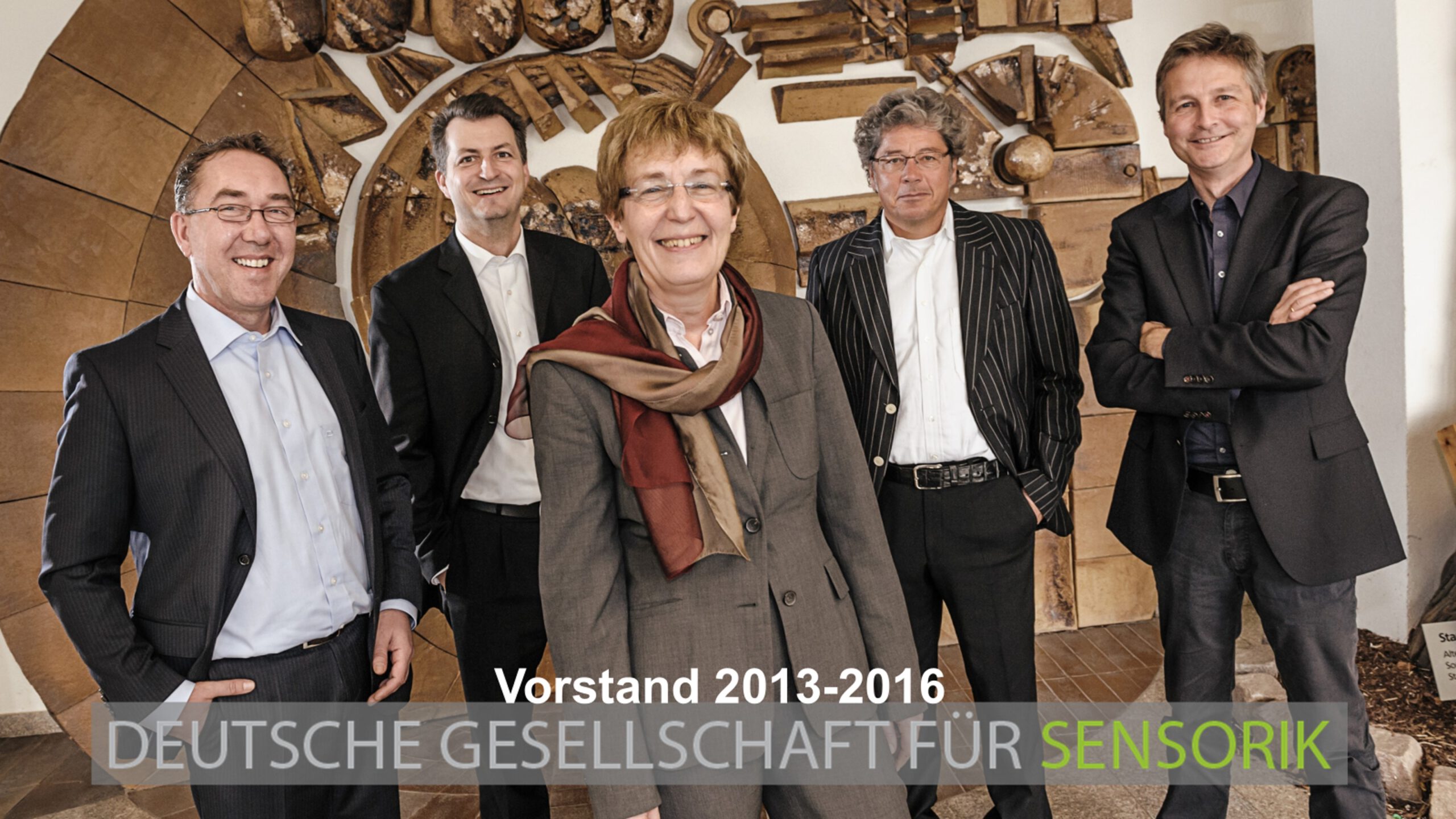 DGSens Vorstand 2013-2016